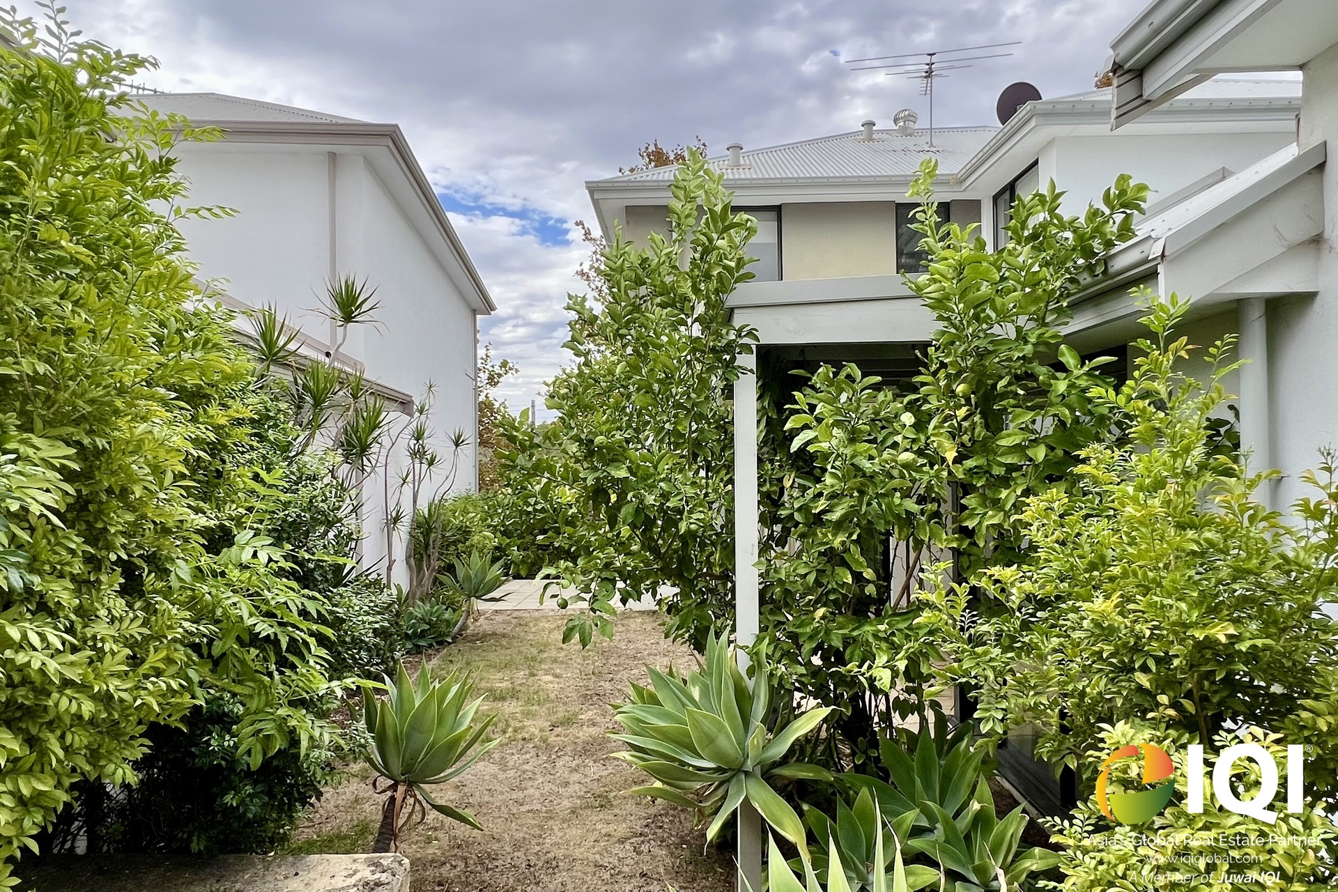Sunlit & Spacious Family Home – View Before It's Tenanted! image